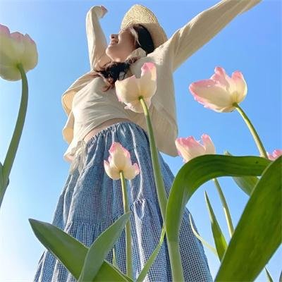 绝地7骑士