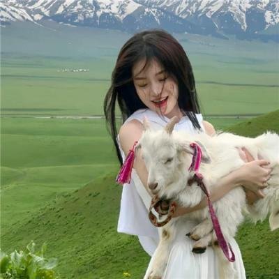 钓鱼狂日记5